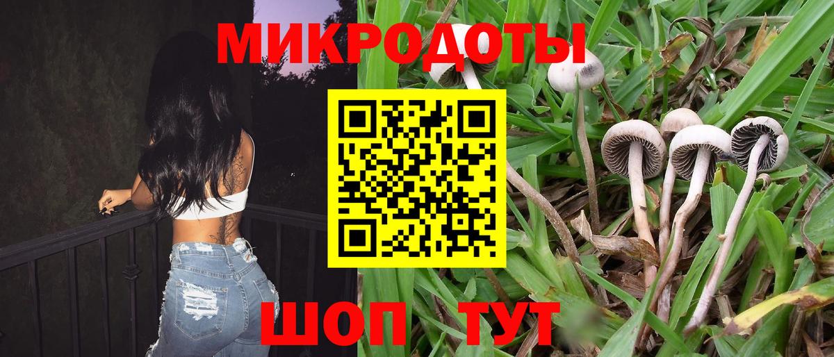 Галлюциногенные грибы ЛСД  Вход с VPN  Сосновоборск  Псилоцибиновые грибы Cubensis 